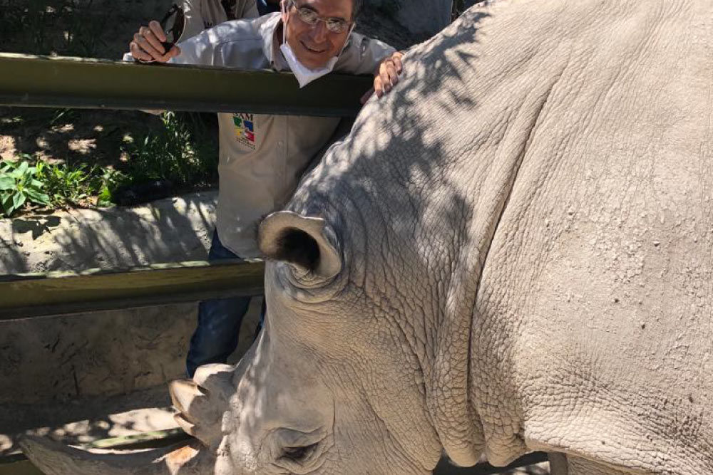 africam safari es pet friendly